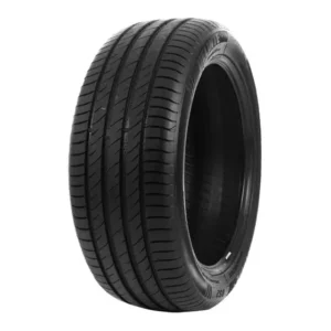 Pneu 185/65 R15 DELINTE DS2