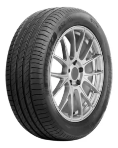 Pneu 215/65 R16 DELINTE DS2