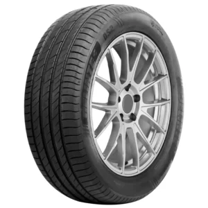 Pneu 205/55 R16 DELINTE DH2/DS2